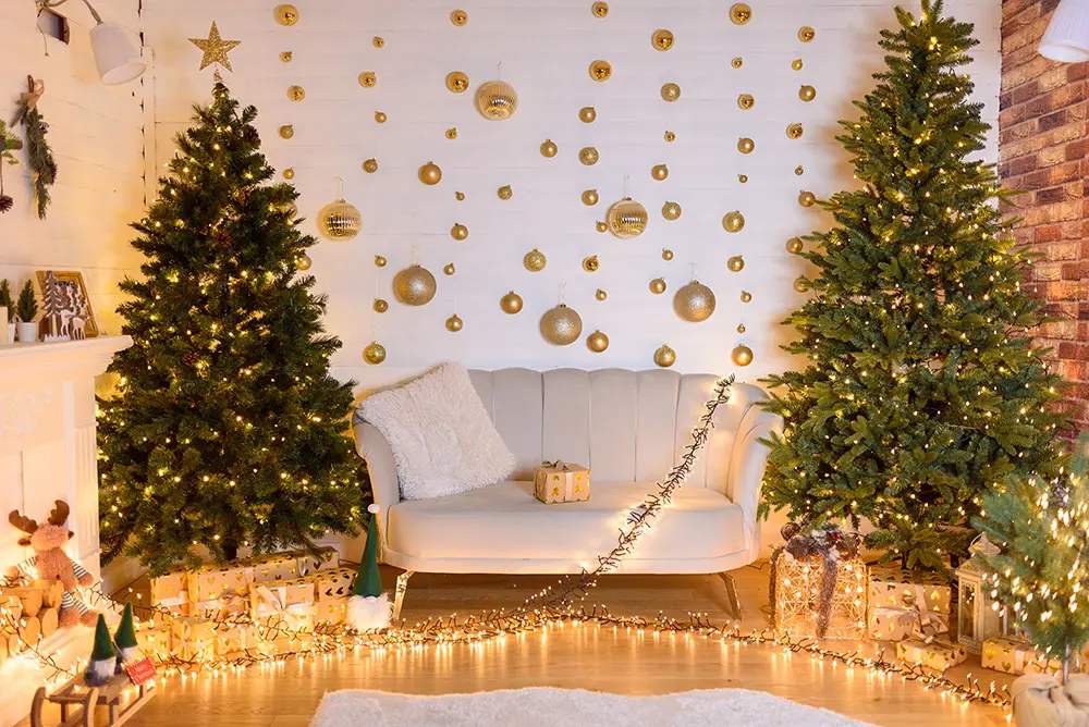 Studio sedinte foto Craciun