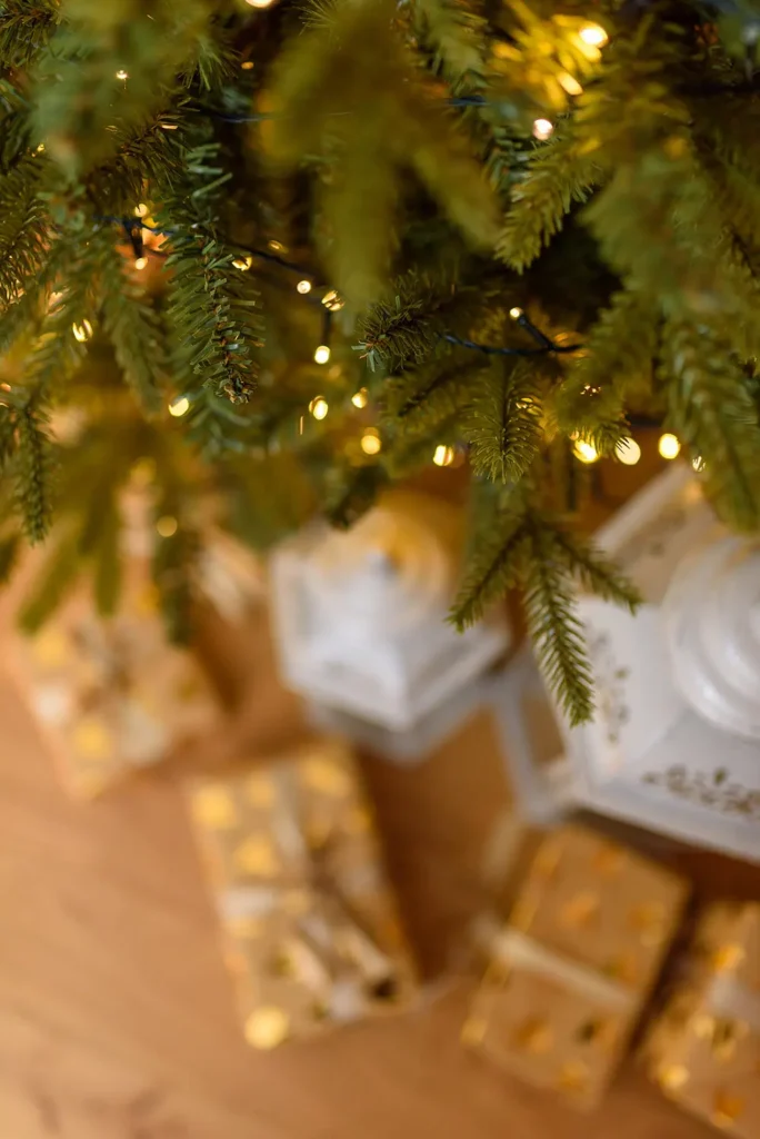 Sedinta foto de Craciun in Studio