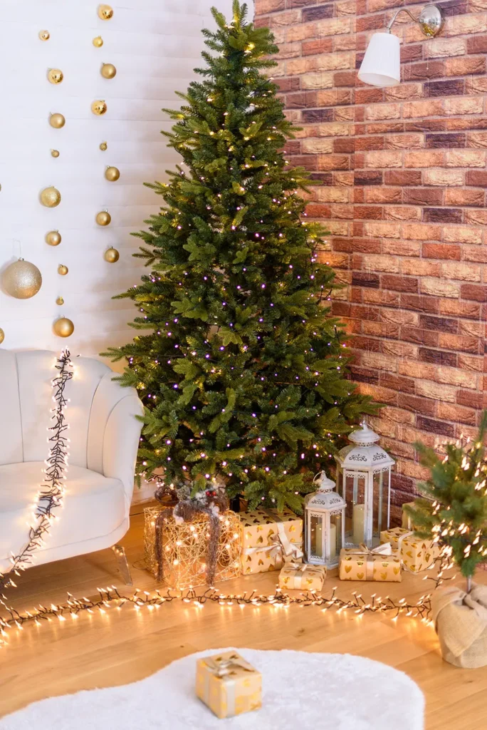 Sedinte foto Craciun Bucuresti Pret