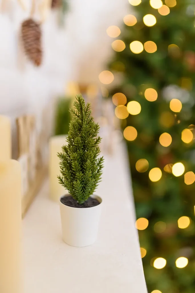 Sedinte foto Craciun Bucuresti Pret