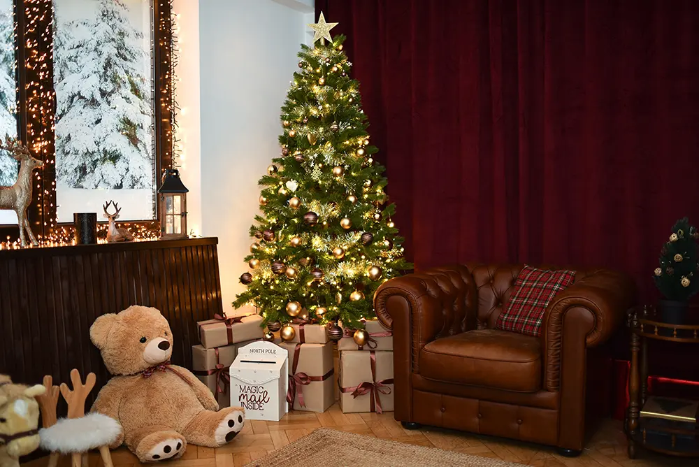 Craciun 2025 Studio Bucuresti