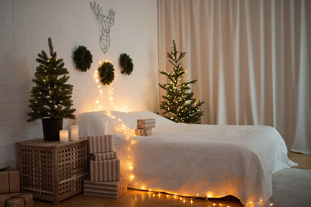 Decor sedinta foto de Craciun in Studio