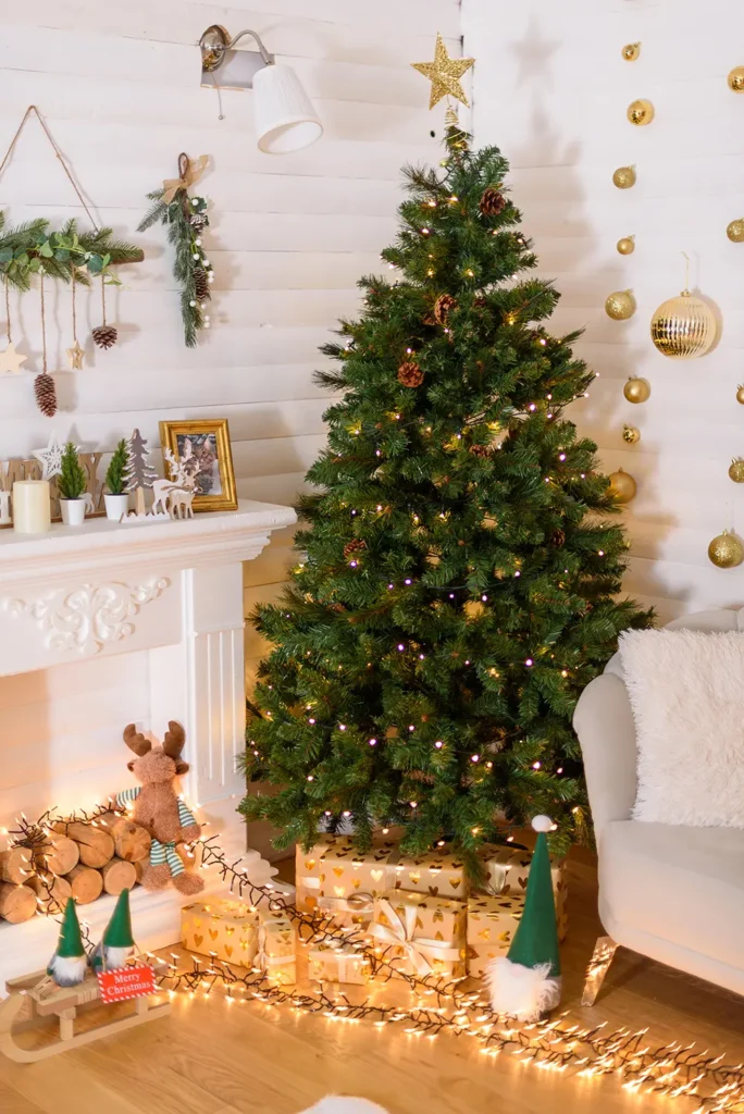 Decor sedinta foto de Craciun