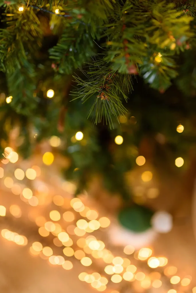 Decor sedinta foto de Craciun in Studio